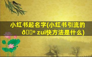 小红书起名字(小红书引流的 🐺 zui
快方法是什么)